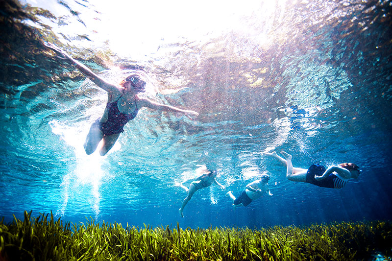 Family swimming in clear water in Lake County, Florida